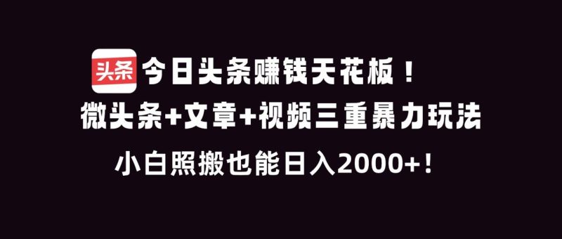 今日头条赚钱天花板！微头条+文章+视频三重暴利玩法，小白照搬也能日人2000+-创意资源网