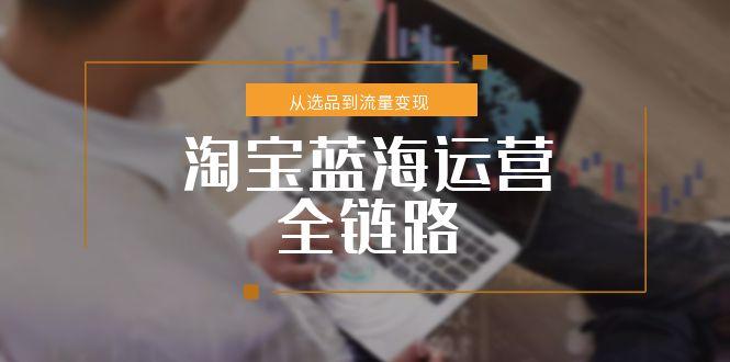 淘宝蓝海运营全链路，从选品到流量变现，小类目突围完整方案-创业资源网 | 精品设计与工具分享平台