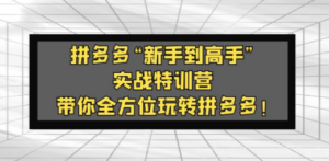 拼多多“新手到高手”实战特训营:带你全方位玩转拼多多-创业资源网 | 精品设计与工具分享平台