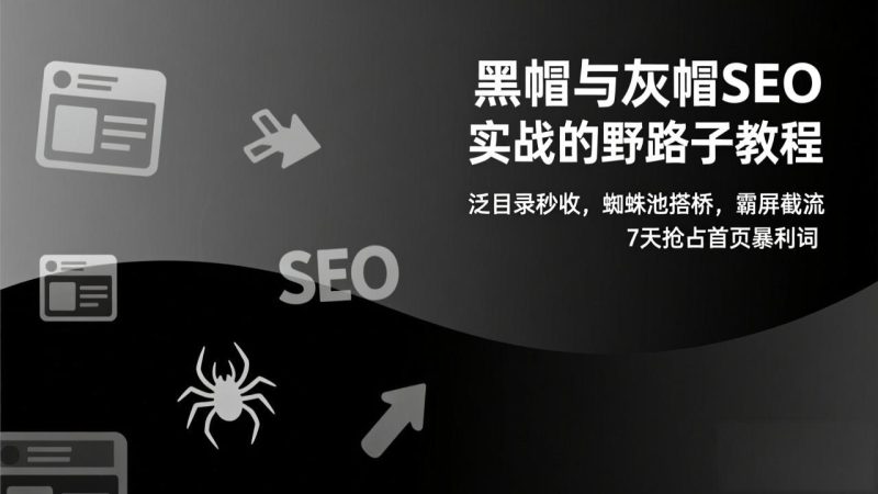 黑帽与灰帽SEO实战的野路子教程:泛目录秒收,蜘蛛池搭桥,霸屏截流,7天抢占首页暴利词-创业资源网 | 精品设计与工具分享平台