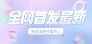 全网首发最新海外节点搭建,独享梯子安全稳定运营海外短视频,日入1000+-创业资源网 | 精品设计与工具分享平台
