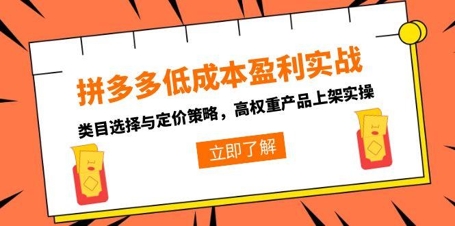 拼多多低成本盈利实战,类目选择与定价策略,高权重产品上架实操 拼多多低成本盈利实战,类目选择与定价策略,高权重产品上架实操