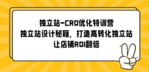 独立站-CRO优化特训营,独立站设计秘籍,打造高转化独立站,让店铺ROI翻倍-创业资源网 | 精品设计与工具分享平台