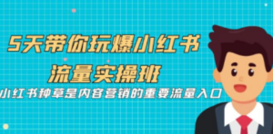 5天带你玩爆小红书流量实操班，小红书种草是内容营销的重要流量入口-创业资源网 | 精品设计与工具分享平台