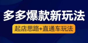 2023拼多多爆款·新玩法：起店思路+直通车玩法（3节精华课）-创业资源网 | 精品设计与工具分享平台