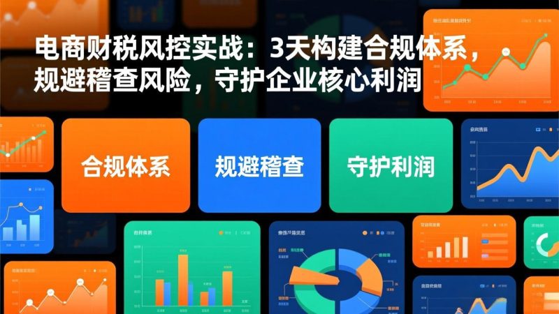 电商财税风控实战：3天构建合规体系，规避稽查风险，守护企业核心利润-创业资源网 | 精品设计与工具分享平台
