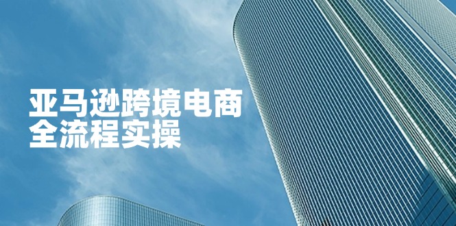 亚马逊跨境电商全流程实操,教你从零开始,掌握店铺运营与广告技巧-创业资源网 | 精品设计与工具分享平台