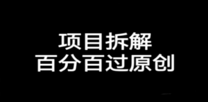 项目拆解百分百过原创，解决项目拆解赛道难过原创的问题-创业资源网 | 精品设计与工具分享平台