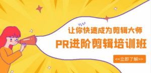 PR进阶剪辑培训班，让你快速成为剪辑大师 12节视频课程+素材！-创业资源网 | 精品设计与工具分享平台