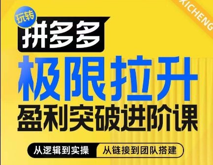 拼多多极限拉升盈利突破进阶课，​从算法到玩法，从玩法到团队搭建，体系化系统性帮助商家实现利润提升-创业资源网 | 精品设计与工具分享平台