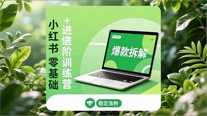 小红书零基础+高阶训练营:安全养号、爆款拆解、长效运营,实现稳定涨粉与变现-创业资源网 | 精品设计与工具分享平台