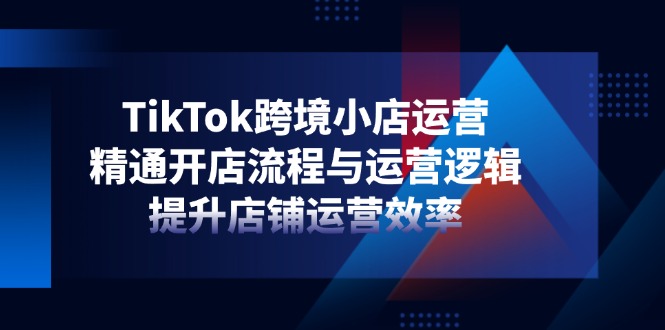 TikTok跨境小店运营,精通开店流程与运营逻辑,提升店铺运营效率-创业资源网 | 精品设计与工具分享平台