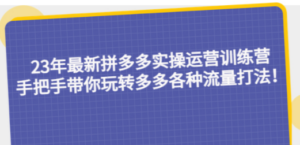 23年最新拼多多实操运营训练营：手把手带你玩转多多各种流量打法-创业资源网 | 精品设计与工具分享平台
