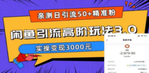 实测日引50+精准粉，闲鱼引流高阶玩法3.0，实操变现3000元-创业资源网 | 精品设计与工具分享平台