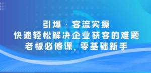 引爆·客流实操:快速轻松解决企业获客的难题,老板必修课,零基础新手-创业资源网 | 精品设计与工具分享平台