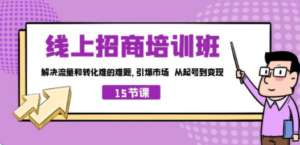 线上·招商培训班，解决流量和转化难的难题 引爆市场 从起号到变现（15节）-创业资源网 | 精品设计与工具分享平台