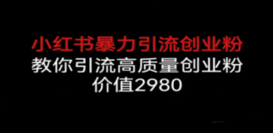 小红书暴力引流创业粉，教你引流高质量创业粉，价值2980-创业资源网 | 精品设计与工具分享平台