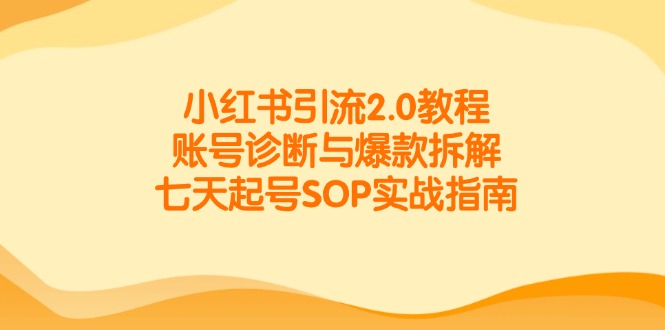 小红书引流2.0教程，账号诊断与爆款拆解，七天起号SOP实战指南-创业资源网 | 精品设计与工具分享平台
