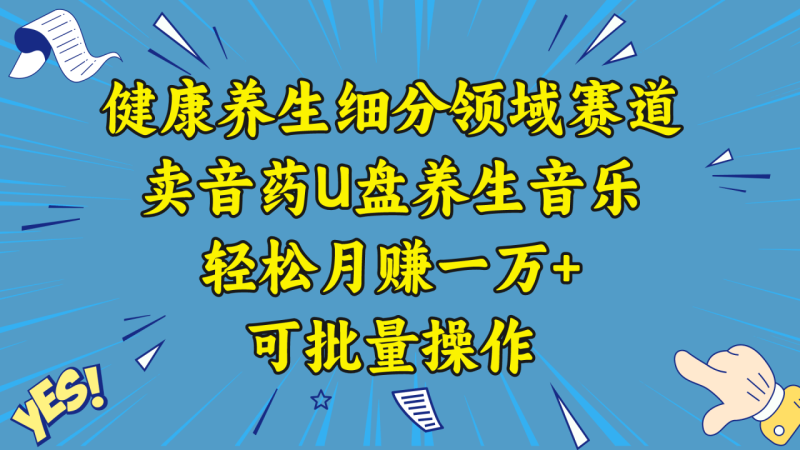 五行音乐养生：细分领域赛道卖音药U盘，打造轻松月赚一万+的健康养生项目-创业资源网 | 精品设计与工具分享平台