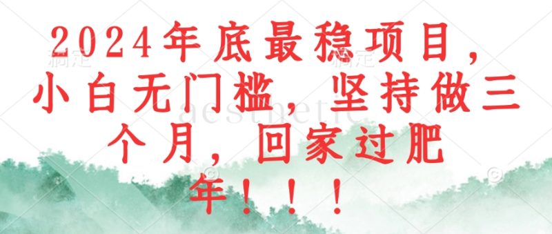 2024年底最稳项目，小白无门槛，坚持做三个月，回家过肥年！！！-创业资源网 | 精品设计与工具分享平台