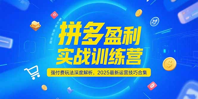 拼多多盈利实战训练营，强付费玩法深度解析，2025运营技巧合集-更新6月-创业资源网 | 精品设计与工具分享平台