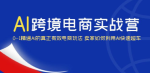AI·跨境电商实操营：0-1精通Al的真正有效电商玩法 卖家如何利用Al快速超车-创业资源网 | 精品设计与工具分享平台