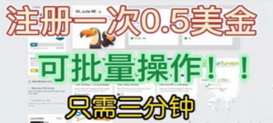 国外项目注册一次0.5美金 只需三分钟无脑操作 可批量放大 小白工作室福利-创业资源网 | 精品设计与工具分享平台
