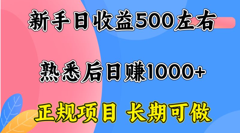 一台电脑，前期日收益300-500，熟练后日入1000左右-创业资源网 | 精品设计与工具分享平台