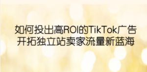 如何投出高ROI·TikTok广告，开拓独立站卖家流量新蓝海-创业资源网 | 精品设计与工具分享平台