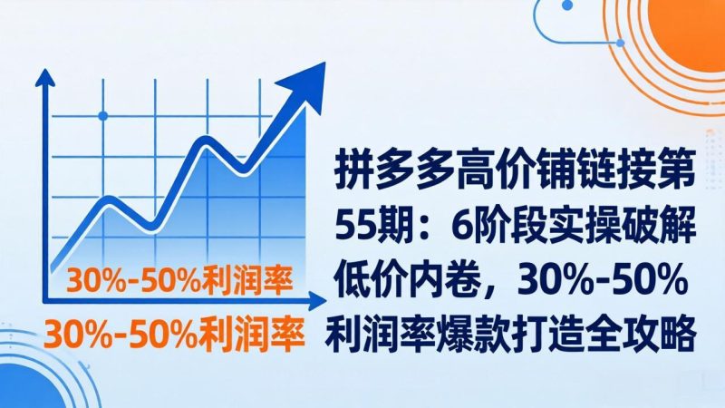 拼多多高价铺链接第55期:6阶段实操破解低价内卷,30%-50%利润率爆款打造全攻略-创业资源网 | 精品设计与工具分享平台
