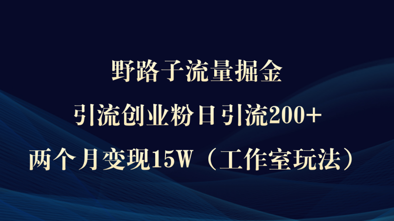 野路子流量掘金，引流创业粉日引流200+，两个月变现15W（工作室玩法））-创业资源网 | 精品设计与工具分享平台