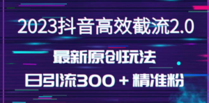 日引300＋创业粉，独家抖音高效截流2.0玩法-创业资源网 | 精品设计与工具分享平台