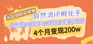某社群收费培训：自然流IP 孵化手-14天线上实操训练营 4个月变现200w-创业资源网 | 精品设计与工具分享平台