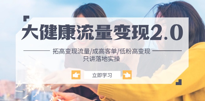 大健康 流量 变现2.0：拓高变现 流量/成高客单/低粉高变现/只讲落地实战-创业资源网 | 精品设计与工具分享平台