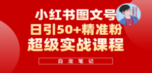 小红书图文号日引50+精准流量，超级实战的小红书引流课，非常适合新手-创业资源网 | 精品设计与工具分享平台