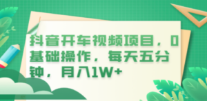 抖音开车视频项目，0基础操作，每天五分钟，月入1W+-创业资源网 | 精品设计与工具分享平台