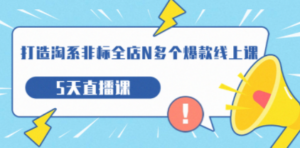 打造-淘系-非标全店N多个爆款线上课，5天直播课（19期）-创业资源网 | 精品设计与工具分享平台