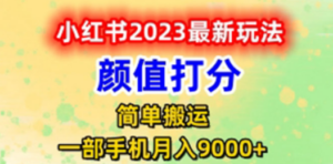 最新小红书颜值打分玩法，日入300+闭环玩法-创业资源网 | 精品设计与工具分享平台