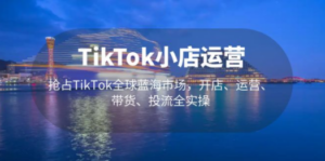 TikTok小店运营 抢占TikTok全球蓝海市场，开店、运营、带货、投流全实操-创业资源网 | 精品设计与工具分享平台