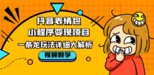 抖音表情包小程序变现项目，一条龙玩法详细大解析，视频版学习-创业资源网 | 精品设计与工具分享平台