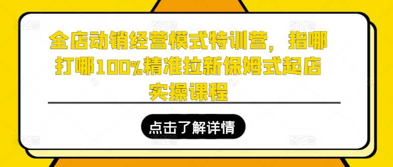 全店动销经营模式特训营，指哪打哪100%精准拉新保姆式起店实操课程-创业资源网 | 精品设计与工具分享平台