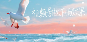 视频号做下雨视频一个账号一周涨粉10W+年入100w-创业资源网 | 精品设计与工具分享平台