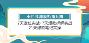 小红书训练营/第九期：7天定位实战+7天爆款拆解实战，21天爆款笔记实操-创业资源网 | 精品设计与工具分享平台