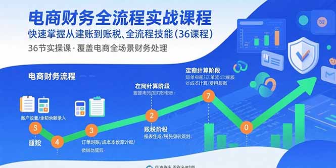 电商财务全流程实战课程:快速掌握从建账到报税的全流程技能(36节课) 电商财务全流程实战课程:快速掌握从建账到报税的全流程技能(36节课)