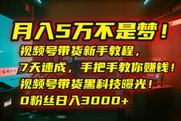 月入5万不是梦！视频号带货新手教程，7天速成，手把手教你赚钱！视频号…-创业资源网 | 精品设计与工具分享平台