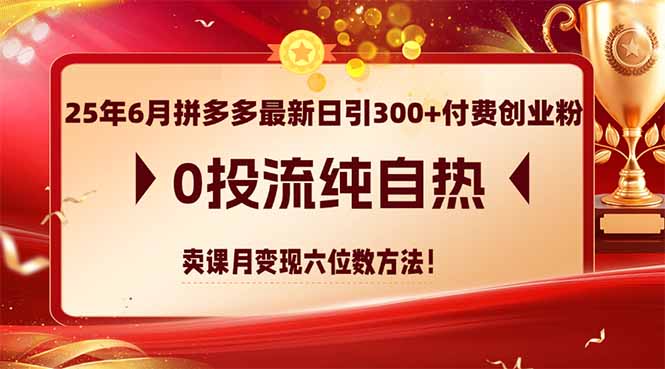25年6月拼多多最新日引300+付费创业粉,0投流纯自热 卖课月变现六位数方法 25年6月拼多多最新日引300+付费创业粉,0投流纯自热 卖课月变现六位数方法