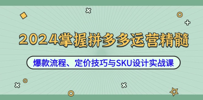 2024掌握拼多多运营精髓：爆款流程、定价技巧与SKU设计实战课-创业资源网 | 精品设计与工具分享平台