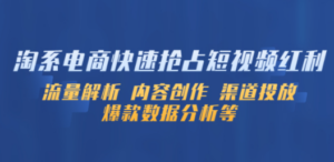 淘系电商快速抢占短视频红利：流量解析 内容创作 渠道投放 爆款数据分析等-创业资源网 | 精品设计与工具分享平台