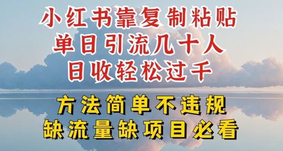 小红书靠复制粘贴单日引流几十人目收轻松过千,方法简单不违规【揭秘】-创业资源网 | 精品设计与工具分享平台