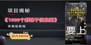 1000个野路子信息差保姆式教程-单日变现3000+的玩法解密-创业资源网 | 精品设计与工具分享平台